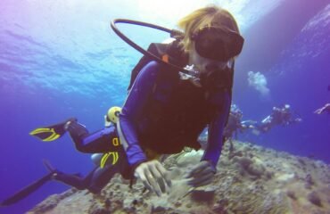 buceo buceo