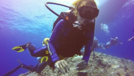 buceo buceo