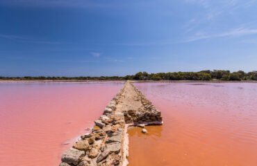 ses salines ses salines