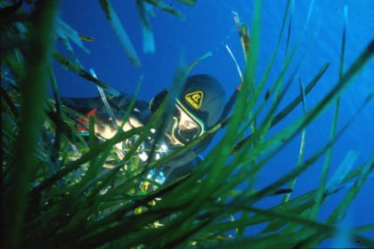 Posidonia_1_Alberto_Romeo