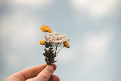 Festival ecológico de Formentera