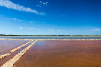 ses salines ses salines