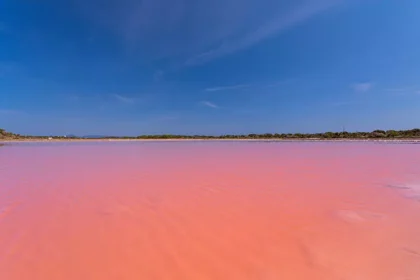 salines salines