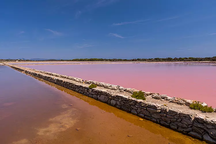 ses-salines